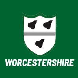 Team logo