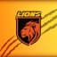 Lions Flag